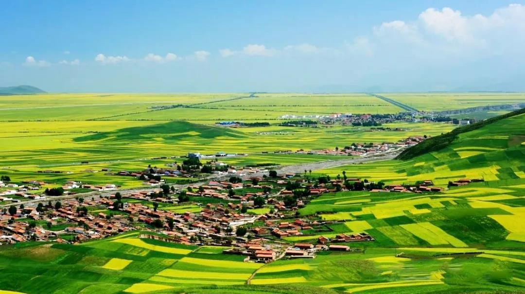 1561453504122769.jpg 微信图片_20190625170426.jpg