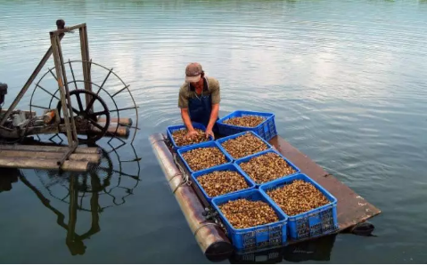 1561997241216148.png 4.png