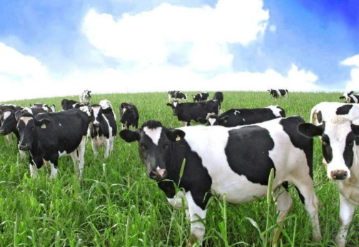 1561997325109158.png 7.png