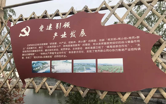 1562123436704430.jpg 1561452343203411.jpg