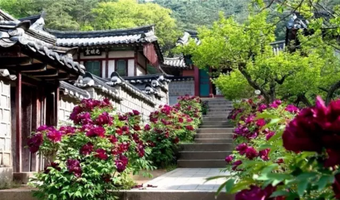 1562217834548827.png 4.png