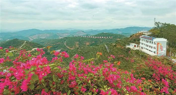 1671763808433303.jpg 图片1.jpg