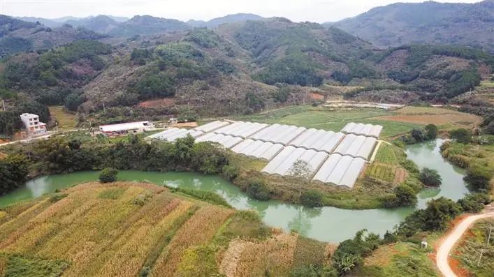 1671763830706092.jpg 图片2.jpg