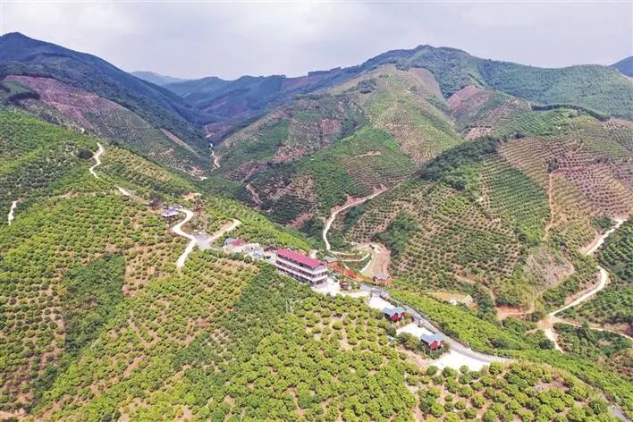 1671763841499545.jpg 图片3.jpg