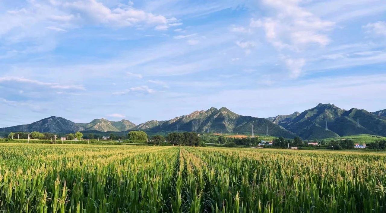 1674896520393549.png blob.png