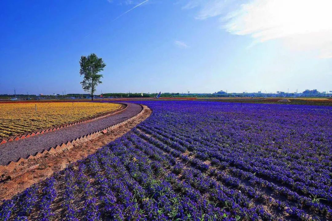 1674896805149172.png blob.png