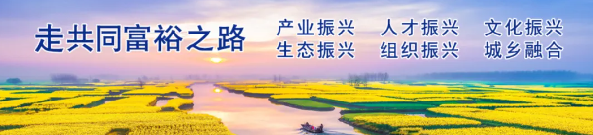 1721537520577941.png image.png