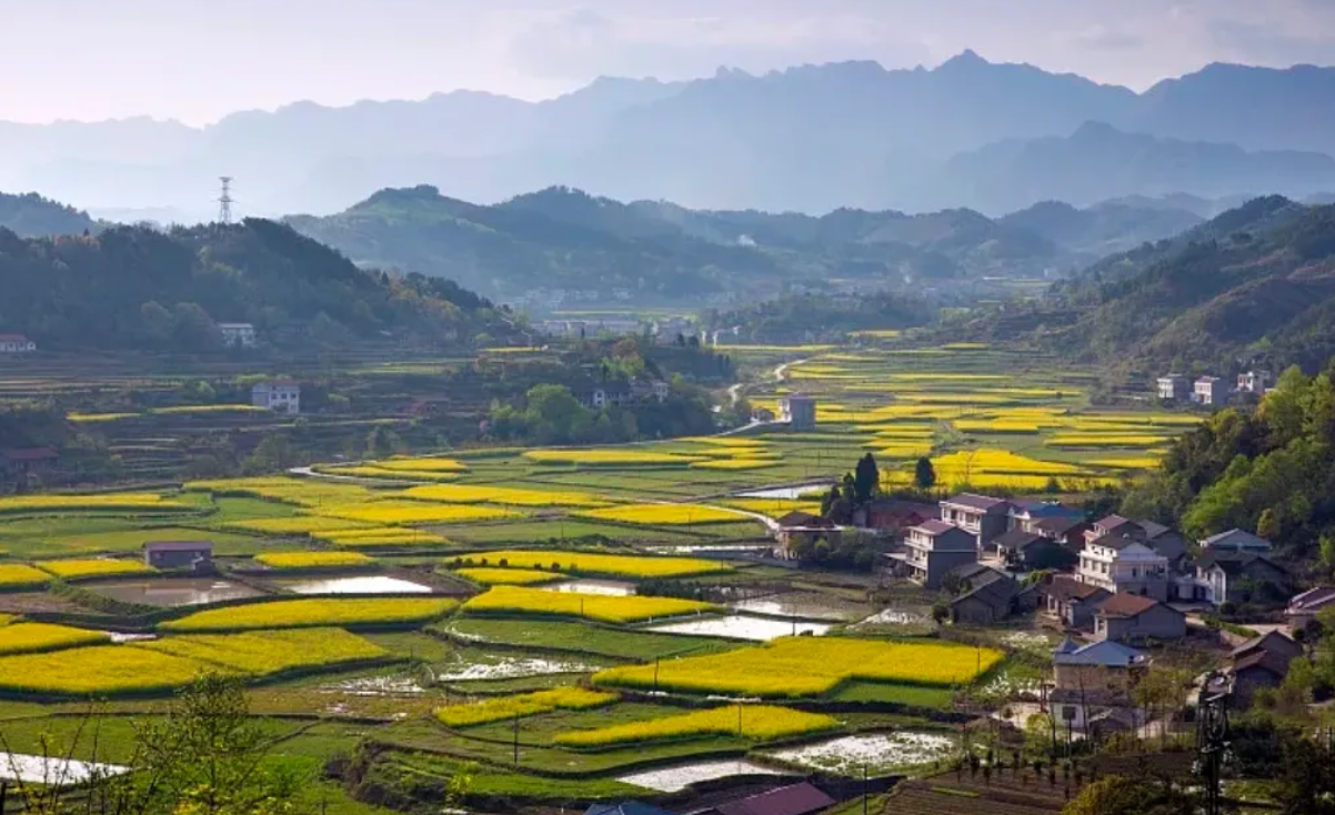 1721537566224711.png image.png