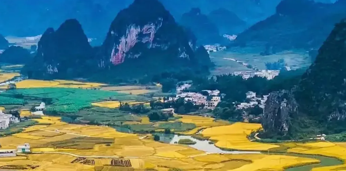 1721537812462043.png image.png