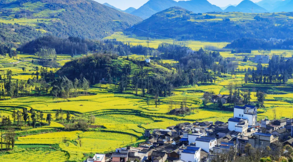 1722220590563655.png image.png